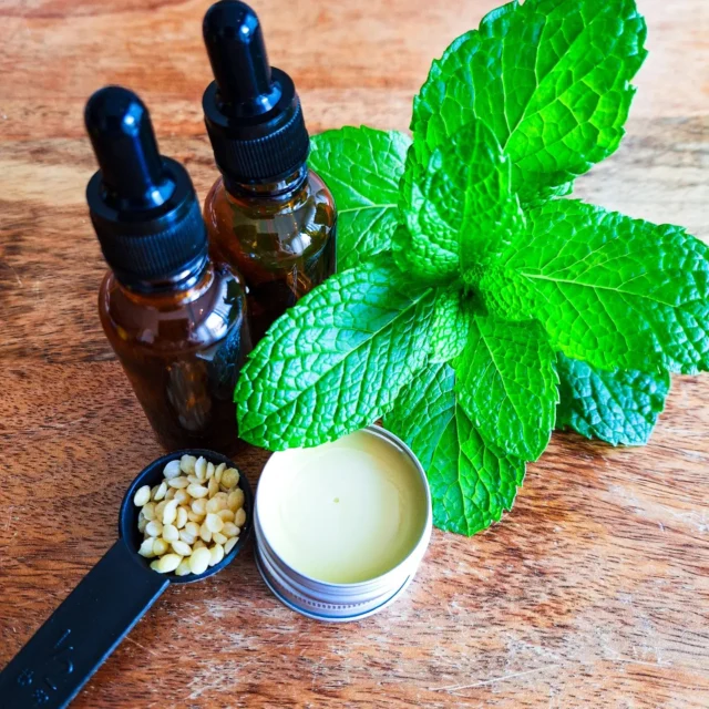 LIPPENBALSEM🫦

Daar is het dan, mijn aller eerste zelfgemaakte lippenbalsem. 100% natuurlijk en zonder producten die je liever niet op je lippen smeert. 

Ik ben iemand die nooit op pad gaat zonder en lippenbalsem. Door de jaren heen ben ik op steeds meer bilogischere balesms over gegaan. Nu had ik een overvloed aan munt in de tuin. Dus wat doe je dan? Zelf je eigen lippenbalsem maken. 

Nu gaan we deze balsem de komende tijd maar eens goed uittesten! 

Deze balsem heb ik gemaakt van:
🐝 Bijenwas 
🌿 Gedroogde munt olie 
🏵 Vitamine E-olie 

#lippenbalsem #etherischeolie #zelfgemaakt #moestuinieren #moestuin #groentetuin #tuinieren
#tuin #eigenoogst #growyourown #urbangardening
#vegetablegarden #gardening #organicgarden
#tuinplezier #kruidentuin #ediblegarden #permaculture
#gezondeten #homegrown #groenevingers
#greenthumb #samentuinieren #communitygarden #moestuinchoach #moestuincoach-goirle.nl